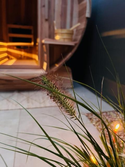 Charley'S Wellness Suite Westkapelle Luaran gambar